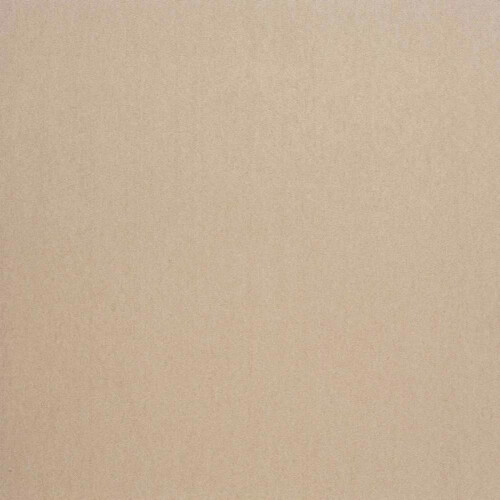 Dandy Gallant | Pearly Plain Wallpaper