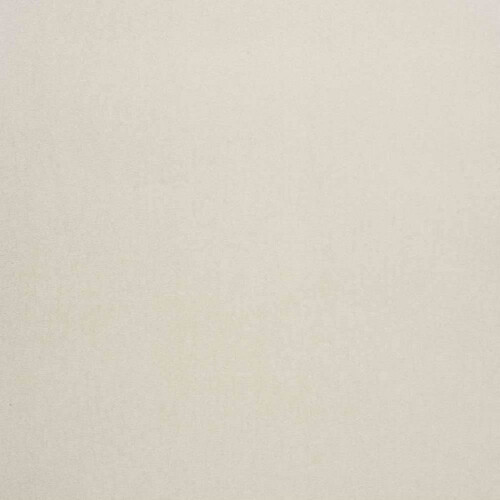 Dandy Gallant | Pearly Plain Wallpaper