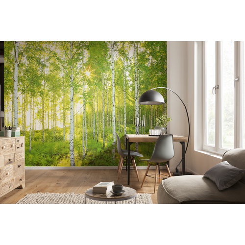 Sunday | Birch Forest Mural