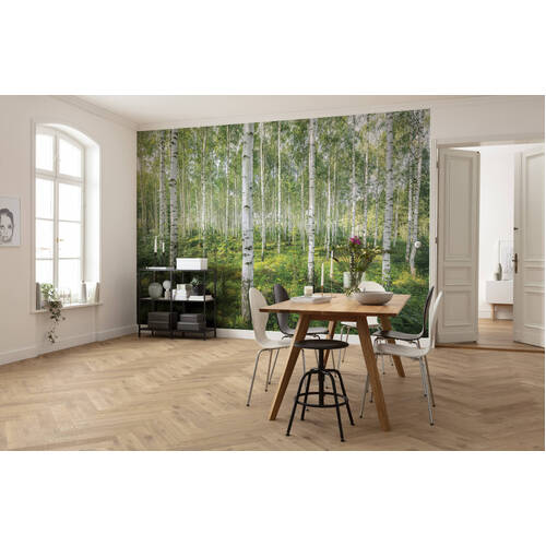 Sunny Day | Birch Forest Mural