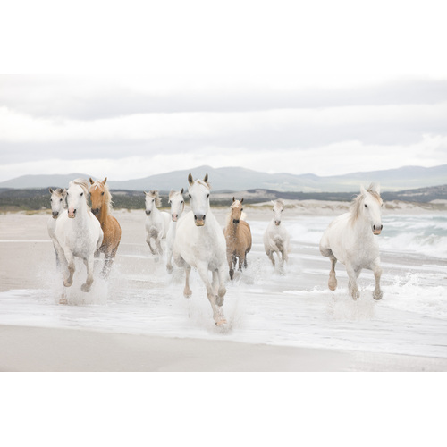 White Horses | Horses on Beach Mural
