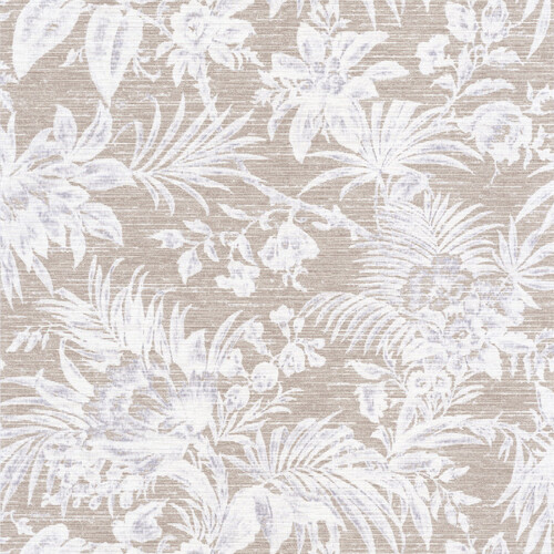Fern | Tropical Foliage Wallpaper