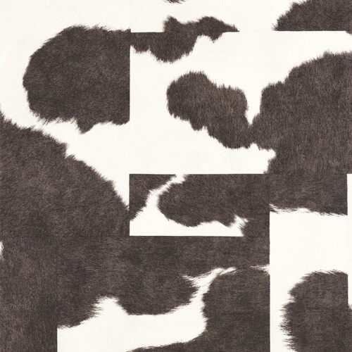 Normandie | Cow hide wallpaper