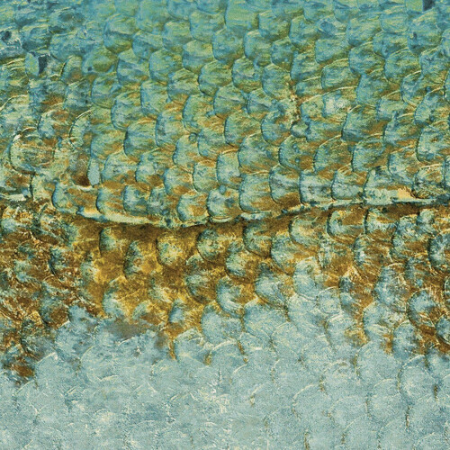 Scales Large | Fish scale wallpanel