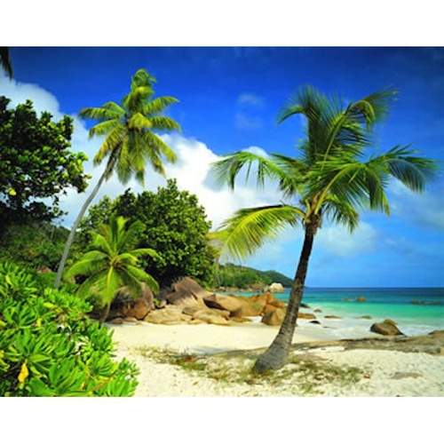 Mural | Palm Tree 8-885