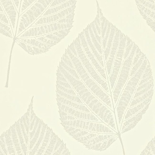 Momentum 2 | Leaf