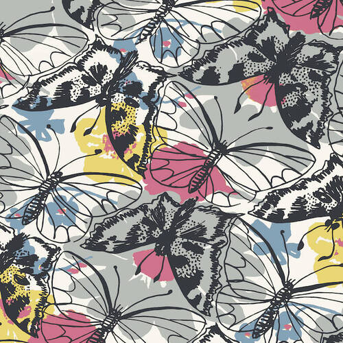 Paxton | Beautiful Butterfly Wallpaper