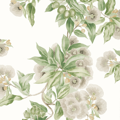 Camellia Garden | Floral Branch Wallpaper
