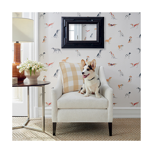 Buddy | Dog Motif Wallpaper