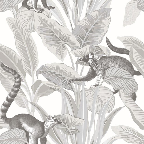 Lemuri | Jungle Motifs Wallpaper