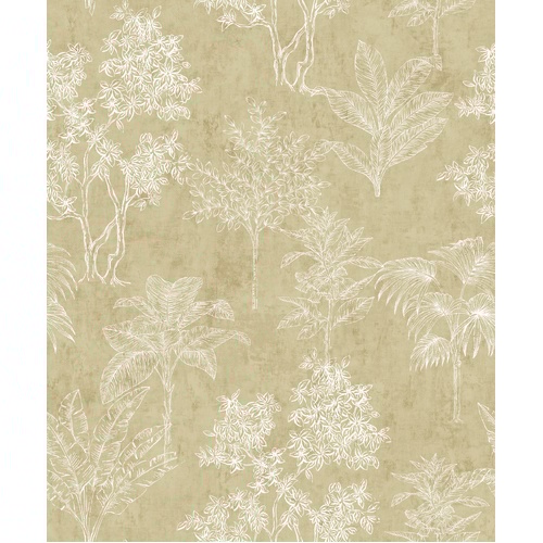 Jungle | Tree Scape Wallpaper