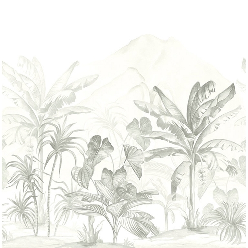 Tropics | Jungle Palm Mural