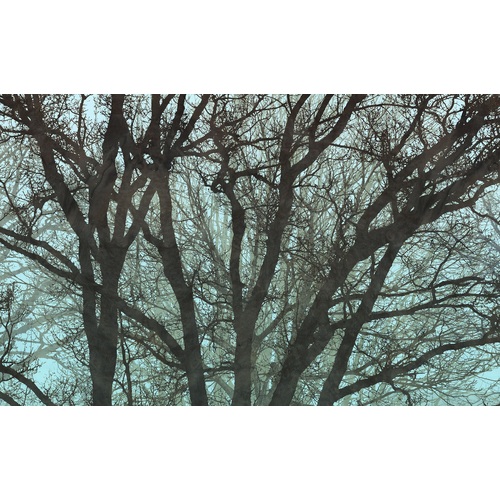 Whispering Woods | Branching Tree Mural