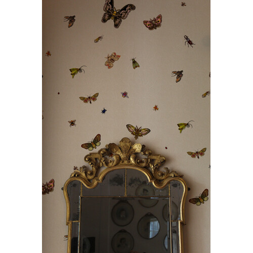 Nightcrawlers | Insect Wallpaper