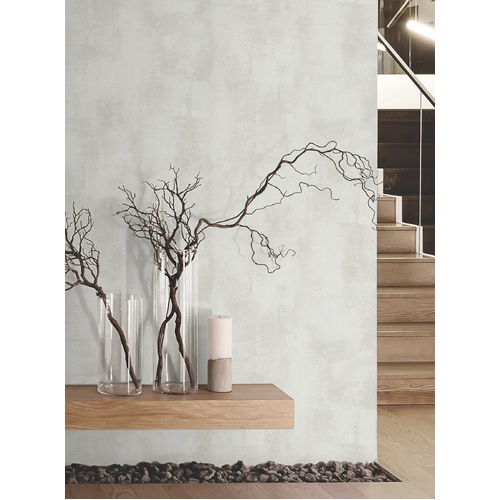 Italian Plaster | Texture Wallpaper