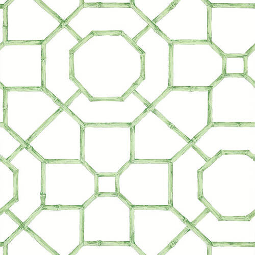 Arbor | Bamboo Web Wallpaper