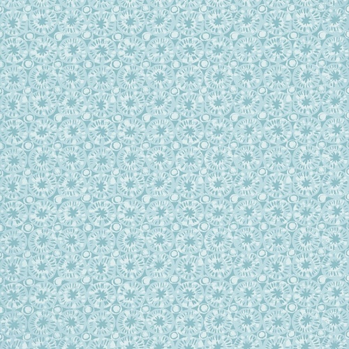 Sand Dollar | Coin Stamp Wallpaper