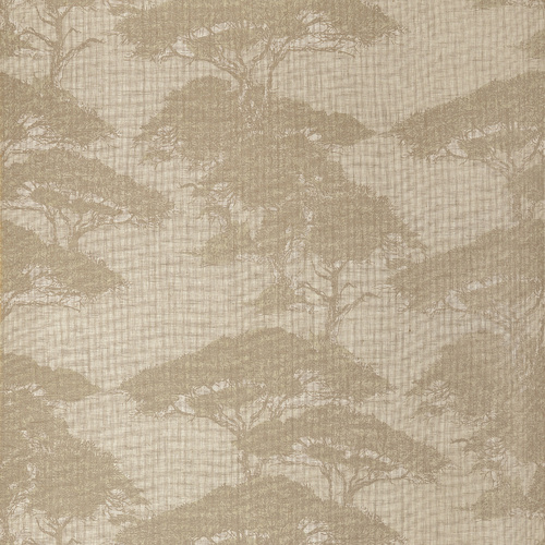Torrey Pines | Woodland Weave Wallpaper