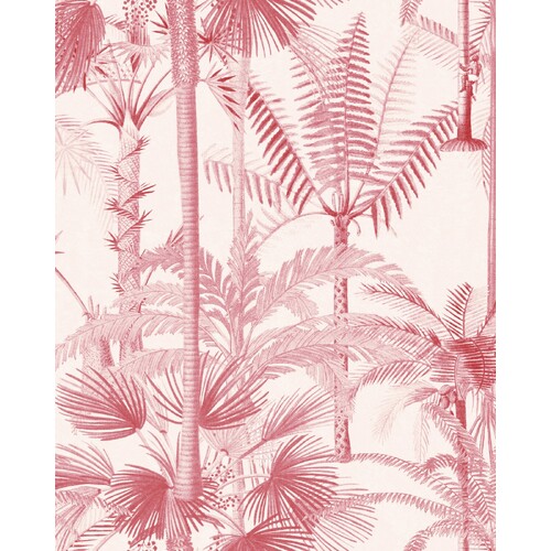 Palmera Cubana | Tropical Trees Wallpaper