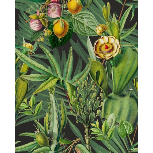 Luscious Flora | Fruity Foliage Wallpaper