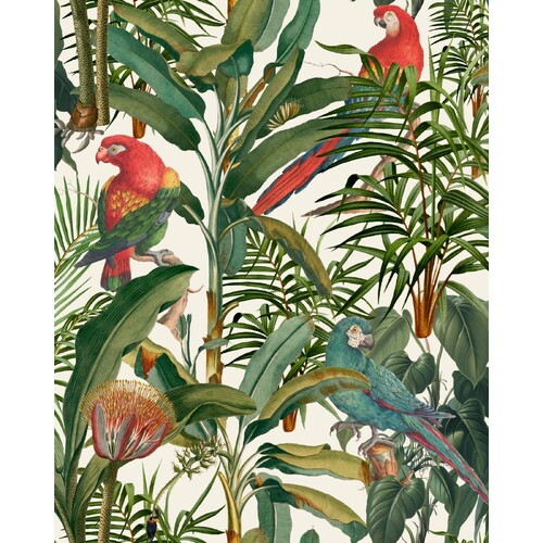 Parrots of Brasil | Tropical Foliage Wallpaper