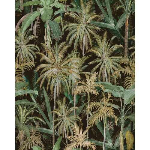 The Jungle | Tropical Palms Wallpaper