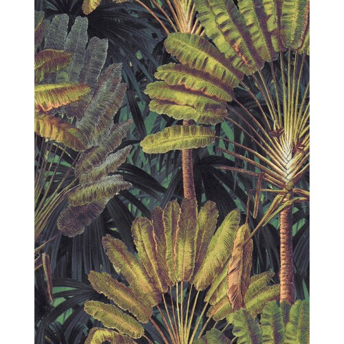 Traveller's Palm | Foliage Fan Wallpaper