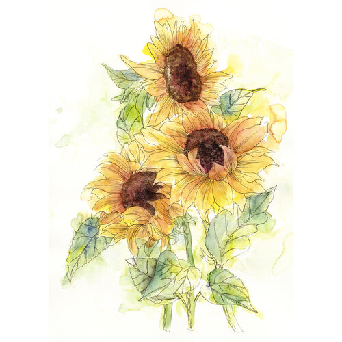 Girasol | Sunflower Mural