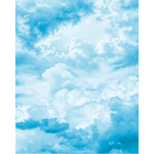 Himmelszelt | Cloudy Sky Mural