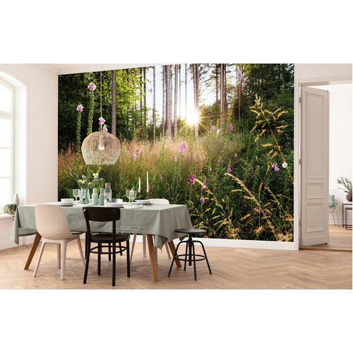 Summer Glade | Forest Sunlight Mural