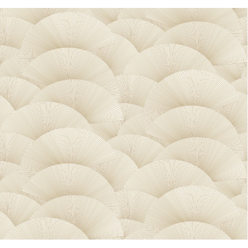 Morning Shell | Striped Fans Wallpaper