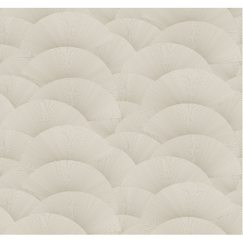 Morning Shell | Striped Fans Wallpaper